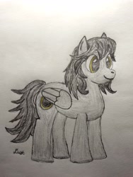 Size: 2408x3208 | Tagged: safe, artist:twiny dust, derpibooru exclusive, oc, oc:eclipse, pegasus, pony, colored, colored pencil drawing, female, high res, mare, pencil drawing, solo, traditional art