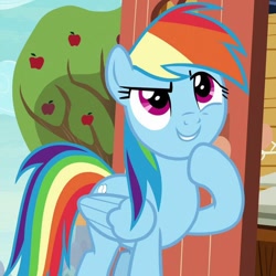 Size: 720x720 | Tagged: safe, screencap, rainbow dash, pegasus, pony, g4, the last crusade, clubhouse, cropped, crusaders clubhouse, female, mare, solo