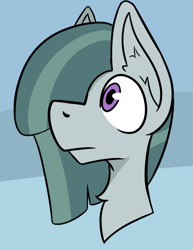 Size: 520x672 | Tagged: safe, artist:cotarsis, marble pie, earth pony, pony, g4, bust, ear fluff, female, hair over one eye, looking away, mare, portrait, solo, three quarter view