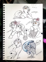 Size: 1280x1714 | Tagged: safe, artist:amishy, oc, oc only, earth pony, pony, blocking, bump, dancing, earth pony oc, female, knitting, looking up, lying down, prone, running, sitting, sketchbook, standing on two hooves, traditional art