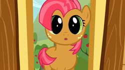Size: 1920x1080 | Tagged: safe, screencap, babs seed, earth pony, pony, g4, one bad apple, season 3, 1080p, :o, adorababs, adorable face, clubhouse, covering flank, crusaders clubhouse, cute, dilated pupils, female, filly, foal, freckles, looking at you, open mouth, reaction image, solo, weapons-grade cute, wide eyes