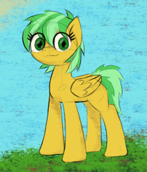 Size: 806x947 | Tagged: safe, artist:xxv4mp_g4z3rxx, oc, oc only, pegasus, pony, female, grass, green eyes, mare, pegasus oc, sky, solo, sun