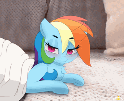 Size: 1500x1220 | Tagged: safe, artist:n0nnny, rainbow dash, pegasus, pony, g4, angry, animated, bed, bedroom eyes, behaving like a cat, blanket, blushing, chest fluff, clipping, discussion in the comments, dock, eyes closed, fangs, frame by frame, gif, link in source, looking back, meme, open mouth, pillow, ponified, ponified animal photo, ponified animal video, rainbow dash is not amused, reference in the comments, solo, tail, unamused, video reference, yoink