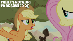 Size: 2000x1125 | Tagged: safe, edit, edited screencap, editor:quoterific, screencap, applejack, fluttershy, earth pony, pegasus, pony, g4, sounds of silence, duo focus, female, male, mare, quote, raised hoof, stallion, stillhoute