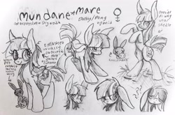 Size: 3836x2529 | Tagged: safe, artist:muffinz, oc, oc:mundane mare, donkey, earth pony, hybrid, pony, rabbit, animal, high res, hybrid oc, reference sheet, saddle, solo, tack, traditional art