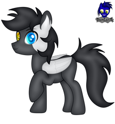 Size: 3840x4154 | Tagged: safe, artist:damlanil, oc, oc:cloudy days, pegasus, pony, commission, cute, happy, heterochromia, male, raised hoof, show accurate, simple background, smiling, solo, stallion, transparent background, vector, wings