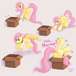 Size: 2160x2160 | Tagged: safe, artist:callichrome, fluttershy, pegasus, pony, g4, adorable distress, behaving like a cat, bell, bell collar, box, butt, butt fluff, butt shake, collar, cute, female, flutterbox, happy, high res, if i fits i sits, jumping, master, missing cutie mark, pet, plot, pony in a box, pony pet, pounce, shyabetes, simple background, smiling, solo, spread wings, stuck, upside down, wholesome, wings