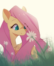 Size: 2500x3000 | Tagged: safe, artist:mindlessnik, fluttershy, pegasus, pony, g4, cute, eye clipping through hair, female, flower, high res, looking at something, mare, shyabetes, signature, solo