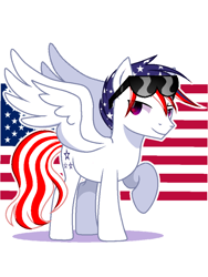 Size: 720x960 | Tagged: safe, artist:diniarvegafinahar, pegasus, pony, flag, male, nation ponies, ponified, raised hoof, simple background, solo, stallion, sunglasses, united states, white background, wings