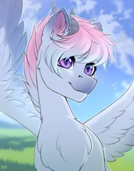 Size: 2000x2550 | Tagged: safe, artist:hakaina, oc, oc only, pony, chest fluff, ear fluff, high res, solo