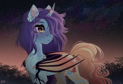 Size: 2900x2000 | Tagged: safe, artist:hakaina, oc, oc only, alicorn, bat pony, bat pony alicorn, pony, bat pony oc, bat wings, ear fluff, high res, horn, night, solo, stars, wings