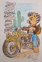 Size: 1387x2048 | Tagged: safe, artist:daisymane, oc, oc only, oc:dusty katt, earth pony, pony, bipedal, cactus, motorcycle, road sign, solo, traditional art