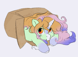 Size: 1160x846 | Tagged: safe, alternate character, alternate version, artist:damayantiarts, oc, oc only, pony, unicorn, animated, blinking, box, colored hooves, ear flick, facial markings, fetlock tuft, gif, lying down, pony in a box, prone, simple background, solo, white background