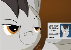 Size: 1754x1240 | Tagged: safe, artist:ace play, oc, oc only, earth pony, pony, card, commission, dexterous hooves, emperor's new groove, hoof hold, license card, male, meme, smug, solo