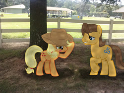 Size: 1024x768 | Tagged: safe, artist:tokkazutara1164, applejack, caramel, earth pony, pony, g4, blushing, cute, female, fence, irl, jackabetes, male, mare, photo, ponies in real life, ship:carajack, shipping, stallion, straight, tree