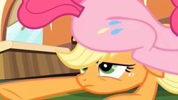 Size: 1472x828 | Tagged: safe, screencap, applejack, pinkie pie, earth pony, pony, g4, games ponies play, applejack is not amused, appleseat, asshat, balloonbutt, butt, friendship express, plot, sitting on head, sitting on person, sitting on pony, train, unamused