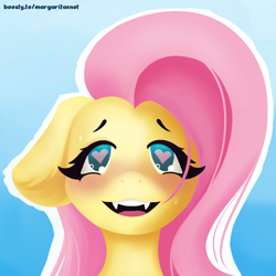 Size: 2000x2000 | Tagged: safe, artist:margaritaenot, fluttershy, pegasus, pony, g4, blue background, blushing, bust, cute, cute little fangs, fangs, gradient background, heart, heart eyes, high res, horny, portrait, shyabetes, solo, wingding eyes