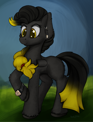 Size: 1881x2474 | Tagged: safe, artist:aquamuro, part of a set, oc, oc only, original species, pony, advertisement in description, chest fluff, commission, cute, description is relevant, ear fluff, female, fluffy, giveaway, hoof fluff, mare, signature, simple background, sketch, smiling, solo, ych result