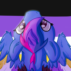 Size: 2480x2480 | Tagged: safe, artist:exobass, oc, oc only, oc:exobass, pegasus, pony, bisexual pride flag, high res, nonbinary, nonbinary pride flag, pride, pride flag, solo