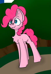 Size: 1563x2237 | Tagged: safe, artist:cotarsis, pinkie pie, earth pony, pony, g4, cheek fluff, chest fluff, cute, cute little fangs, eye clipping through hair, fangs, female, mare, outdoors, path, solo, standing, three quarter view