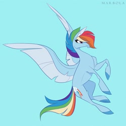 Size: 1920x1920 | Tagged: safe, artist:marbola, rainbow dash, pegasus, pony, g4, blue background, colored wings, female, flying, mare, simple background, solo, spread wings, two toned wings, wings