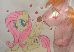 Size: 2480x1764 | Tagged: safe, artist:elizabeth7uzumaki, big macintosh, fluttershy, earth pony, pegasus, pony, g4, blushing, duo, female, flower, flower in mouth, heart, looking at each other, looking at someone, male, mare, mouth hold, rose, rose in mouth, ship:fluttermac, shipping, smiling, smiling at each other, spread wings, stallion, straight, traditional art, wings