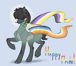Size: 925x806 | Tagged: safe, artist:frostedsoul, derpibooru exclusive, oc, oc:california kill, earth pony, pony, aroace pride flag, concave belly, nonbinary pride flag, ponysona, pride, pride flag, pride month, solo