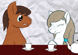 Size: 1050x750 | Tagged: safe, artist:dougboard, oc, oc only, oc:dusty (jitterbug-cafe), oc:mayia, pegasus, pony, cup, female, male, mare, stallion, teacup