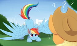 Size: 1947x1184 | Tagged: safe, artist:arcane-thunder, applejack, rainbow dash, earth pony, pegasus, pony, g4, atg 2023, behaving like a bird, confused, dancing, duo, duo female, face down ass up, female, lesbian, mare, mating dance, newbie artist training grounds, question mark, rainbird dash, ship:appledash, shipping, spread wings, tail, tail wag, wavy mouth, wings