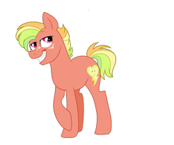 Size: 1200x1000 | Tagged: safe, artist:bishopony, oc, oc only, earth pony, pony, colt, earth pony oc, foal, freckles, grin, male, male oc, offspring, parent:big macintosh, parent:rainbow dash, parents:rainbowmac, simple background, smiling, solo, transparent background