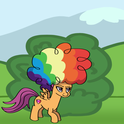 Size: 2000x2000 | Tagged: safe, artist:artevi, scootaloo, pegasus, pony, g4, afro, agent rainbow head, atg 2023, bush, female, filly, foal, high res, newbie artist training grounds, solo, spread wings, wig, wings