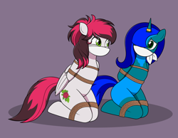 Size: 2250x1750 | Tagged: safe, artist:nivek15, oc, oc only, oc:amberlue, oc:siren, pegasus, pony, unicorn, semi-anthro, anatomically incorrect, bondage, bound, bound and gagged, box tied, cloth gag, duo, female, frogtie, gag, help us, hooves behind back, horn, horn ring, incorrect leg anatomy, kneeling, magic suppression, mare, over the nose gag, ring, tied up