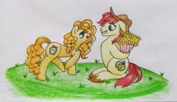 Size: 6399x3717 | Tagged: safe, artist:mintytreble, bright mac, pear butter, earth pony, pony, g4, atg 2023, female, flirting, flower, male, newbie artist training grounds, ship:brightbutter, shipping, shipping fuel, simple background, straight, traditional art