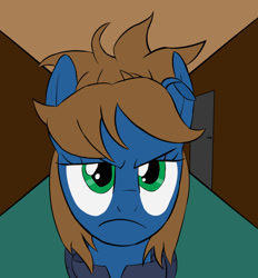 Size: 1024x1104 | Tagged: safe, artist:scratchag, oc, oc:scamp, pegasus, pony, fanfic:living the dream, annoyed, blue coat, brown mane, fanfic art, female, frown, green eyes, hallway, mare, solo, torn ear