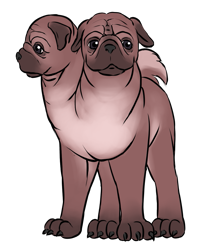 Size: 971x1170 | Tagged: safe, artist:multiverseequine, derpibooru exclusive, oc, oc only, oc:crunch, dog, orthros, pug, g4, daybreak island, male, multiple heads, non-pony oc, simple background, standing, transparent background, two heads