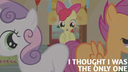 Size: 2000x1125 | Tagged: safe, edit, edited screencap, editor:quoterific, screencap, apple bloom, scootaloo, sweetie belle, earth pony, pegasus, pony, unicorn, call of the cutie, g4, blank flank, cutie mark crusaders, female, filly, foal, sugarcube corner, trio, trio female