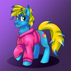 Size: 2897x2871 | Tagged: safe, artist:dragonfoxgirl, oc, oc only, earth pony, pony, clothes, gradient background, high res, hoodie, solo