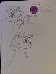 Size: 4000x3000 | Tagged: safe, artist:eborn, oc, oc only, oc:mana gem, earth pony, pony, bust, chest fluff, cutie mark, earth pony oc, portrait, sketch, sketch dump, solo, traditional art