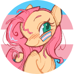 Size: 420x420 | Tagged: safe, artist:onionpwder, part of a set, fluttershy, pegasus, pony, g4, female, icon, pride, pride flag, solo, trans fluttershy, transgender, transgender pride flag, wingless