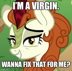Size: 506x494 | Tagged: safe, edit, edited screencap, screencap, autumn blaze, kirin, g4, sounds of silence, bedroom eyes, bronybait, bust, caption, image macro, implied sex, lidded eyes, looking at you, meme, smiling, smiling at you, talking to viewer, text, virgin
