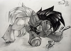 Size: 2560x1861 | Tagged: safe, artist:tlen borowski, oc, oc only, butterfly, pony, chibi, exclamation point, eyebrow piercing, frog (hoof), hoofbutt, markings, monochrome, nose piercing, pencil drawing, piercing, septum piercing, solo, traditional art, two toned coat, underhoof