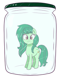 Size: 3744x4761 | Tagged: safe, artist:realgero, wallflower blush, earth pony, pony, g4, :|, equestria girls ponified, jar, lewd container meme, looking at you, ponified, pony in a bottle, simple background, solo, transparent background