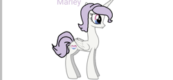 Size: 895x415 | Tagged: safe, oc, oc only, oc:marley, alicorn, pony, base used, bigender, bigender pride flag, concave belly, multicolored eyes, pride, pride flag, simple background, slender, smiling, solo, text, thin, white background, white coat