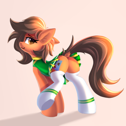 Size: 2000x2000 | Tagged: safe, artist:atlas-66, oc, oc only, oc:robertapuddin, earth pony, pony, butt, dock, high res, plot, simple background, solo, tail