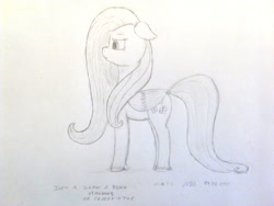 Size: 2000x1500 | Tagged: safe, artist:adamv20, fluttershy, pegasus, pony, g4, female, floppy ears, grayscale, mare, monochrome, solo, traditional art