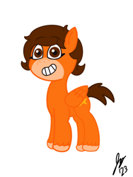 Size: 1620x2160 | Tagged: safe, artist:jesslmc16, oc, pegasus, pony, g5, my little pony: tell your tale, bean mouth, brown eyes, brown mane, digital art, facial markings, full body, pegasus oc, procreate app, simple background, smiling, solo, white background