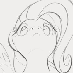 Size: 922x925 | Tagged: safe, artist:dotkwa, fluttershy, pegasus, pony, g4, female, gray background, grayscale, looking at you, looking down, looking down at you, low angle, mare, monochrome, simple background, solo