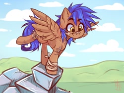 Size: 1600x1200 | Tagged: safe, artist:falafeljake, oc, oc only, pegasus, pony, 2023, bushy brows, cloud, commission, eyebrows, eyebrows visible through hair, grass, outdoors, pegasus oc, raised leg, signature, sky, smiling, solo, spread wings, thick eyebrows, wings