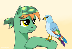 Size: 1600x1100 | Tagged: safe, artist:harleneap, rainbow dash, tank, bird, earth pony, falcon, pony, g4, birdified, pet, ponified, ponified pony pets, rainbird dash, role reversal, simple background, species swap