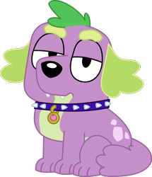 Size: 1746x2027 | Tagged: safe, artist:red4567, spike, dog, equestria girls 10th anniversary, equestria girls, g4, bluey, collar, simple background, solo, spike is not amused, spike the dog, spiked collar, style emulation, transparent background, unamused, vector